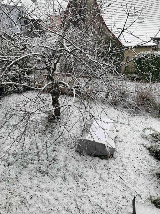 Gite Cosy Pour 2 A 4 Personnes, Village Proche Mulhouse Burnhaupt-le-Bas Εξωτερικό φωτογραφία