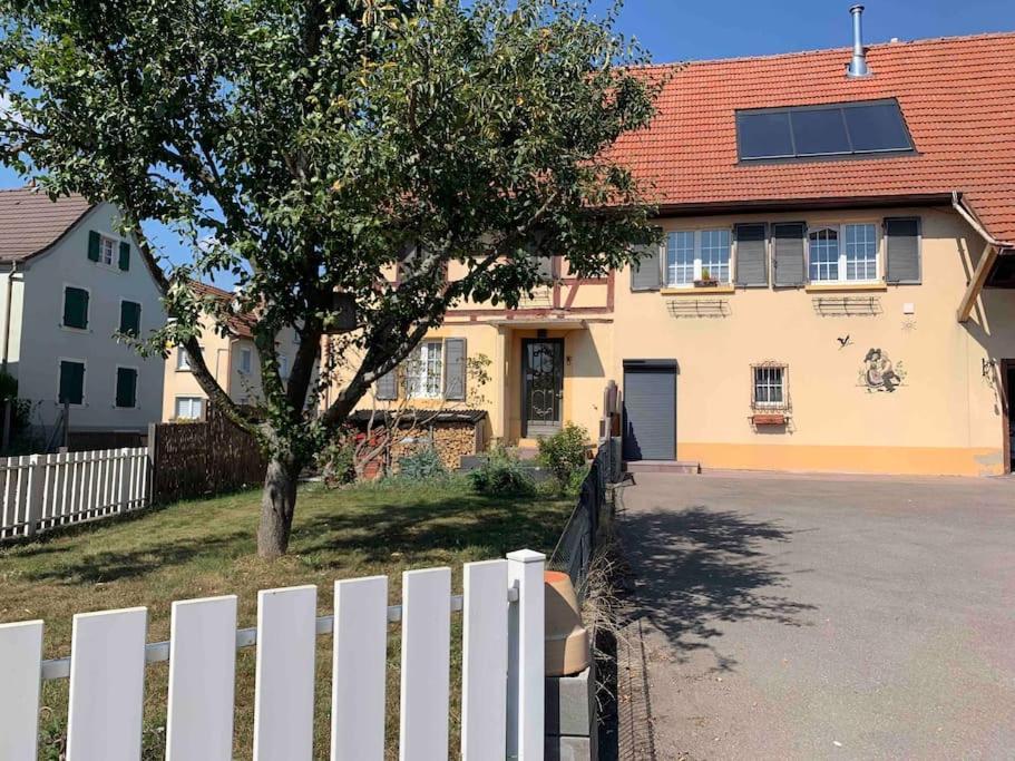 Gite Cosy Pour 2 A 4 Personnes, Village Proche Mulhouse Burnhaupt-le-Bas Εξωτερικό φωτογραφία